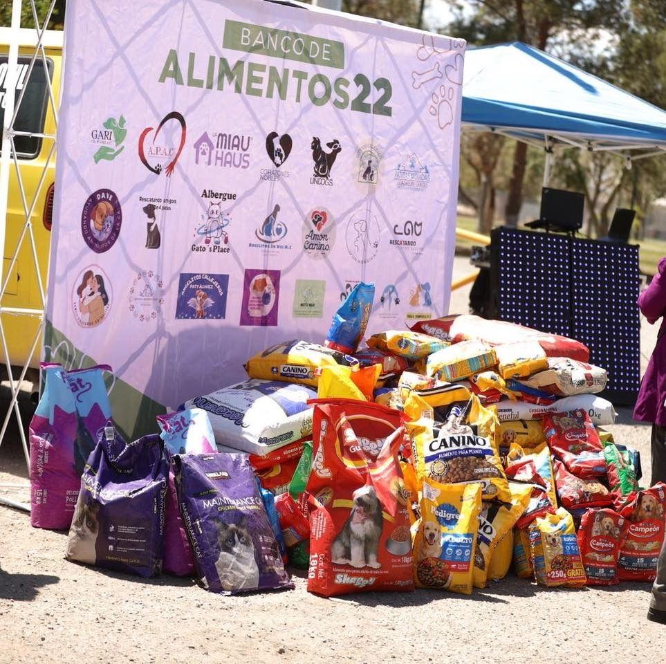 Invita DABA a ser parte del Banco de Alimentos 22